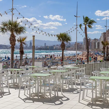 Brisa ベニドルム